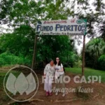 Full day Amazonian with lunch on board - Imagen 2