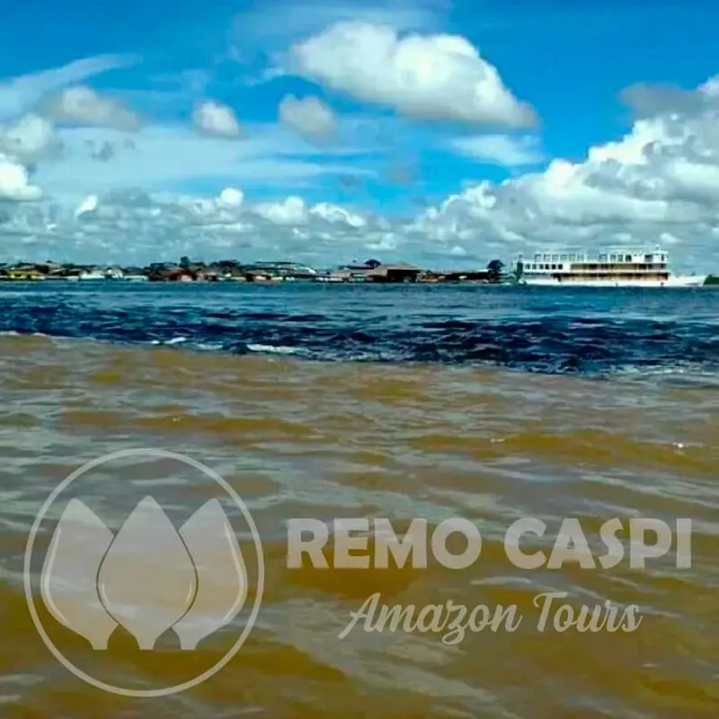 rcat jungle adventure with swimming