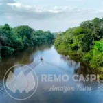 Tour to the Amazonian Nature